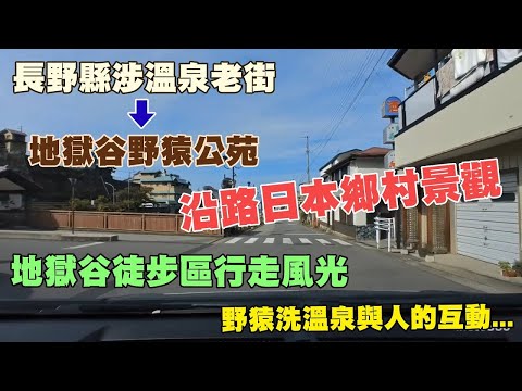 長野縣涉溫泉老街，到地獄谷野猿公苑，全程自駕，原始呈現，沿路日本鄉村景觀，到了地獄谷野猿公苑的噴泉，野猿洗溫泉與人的互動