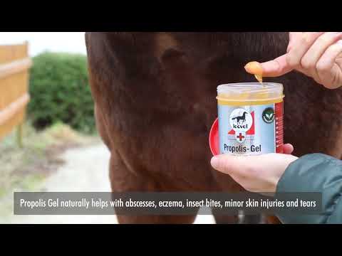 How to use Leovet® Propolis Gel