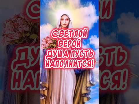 Красивое поздравление С Рождеством Пресвятой Богородицы🕊️ #православие #пресвятаябогородица