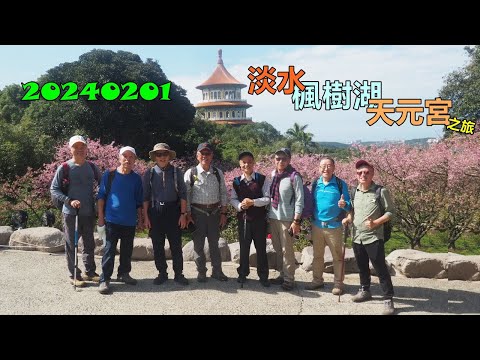 20240201 淡水楓樹湖天元宮之旅