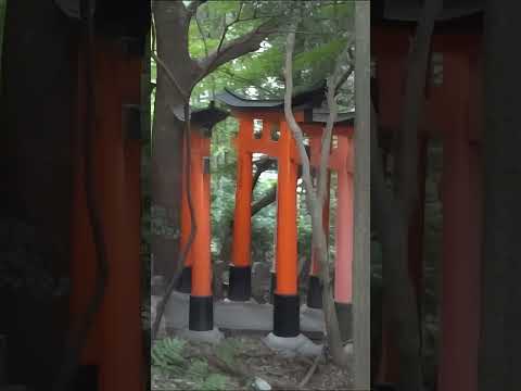 京都・伏見稲荷大社を歩く[40](2012年・手振れ注意) #shorts #kyoto #Japan