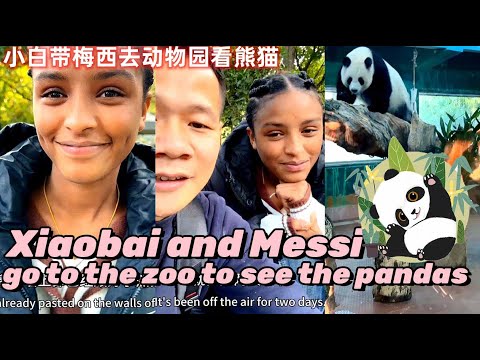 小白和梅西去动物园看熊猫~！Xiaobai and Messi go to the zoo to see the pandas！#小白#梅西#玉米妹#Xiaobai#Messi#Corn Girl