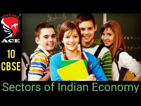 sectors of indian economy class 10 | economics | भारतीय अर्थव्यवस्था के क्षेत्र | studykiabhilasha