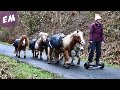 Hoverboarding with my Mini Pony Team