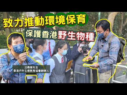 #HKSOCIALTV｜OWLHK創辦人推廣生態教育 設計森林生態觀察手記 由參加導賞變為主動學習 香港蘊含大量珍貴野生動植物 獨有汀角攀樹蟹