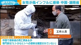 中国・湖南省で女性が鳥インフル感染　市場で感染か(2020年12月23日)