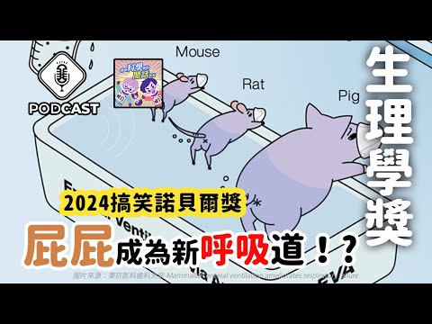 【Podcast】EP.197 2024搞笑諾貝爾生理學獎：屁屁成為新呼吸道！