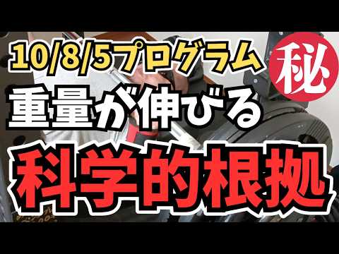 【ベンチプレス10/8/5プログラム】重量が伸びる科学的根拠。マル秘統計データを大公開します。