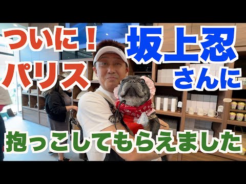 願いが叶った！ 坂上忍さんに抱っこしてもらったパリス 【 フレンチブルドッグ french_bulldog 】