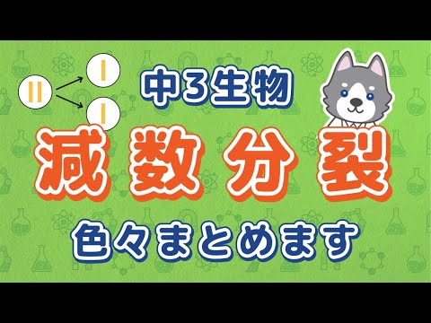 中3理科『減数分裂と体細胞分裂の違い』