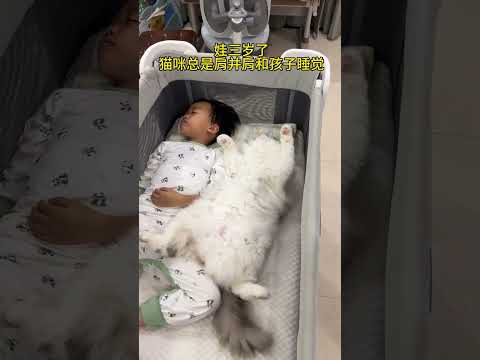 记录一只猫陪伴娃从出生前到六岁的故事… #人类幼崽 #记录猫咪日常 #猫和孩子