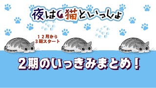 【今からでも間に合う】夜は猫といっしょ〖２期いっきみ！〗