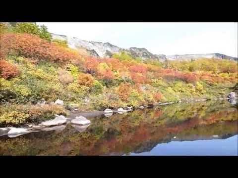 平山20140918高原温泉0924