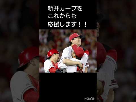 大瀬良大地、ノーヒットノーランおめでとう！！　そして菊池のいなくなったカープの世界線について　#野球　#カープ　#大瀬良大地　#ノーヒットノーラン　#菊池涼介