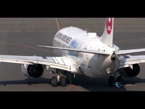 " 広瀬すずさん主演!! なつぞらジェット就航!! " Japan Airlines(JAL) Boeing737-800 JA346J