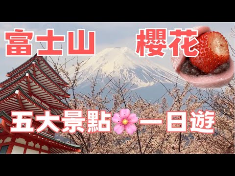 🌸富士山賞櫻花｜河口湖｜大石公園｜新倉山淺間神社｜忍野八海｜西湖合掌村｜本町街｜