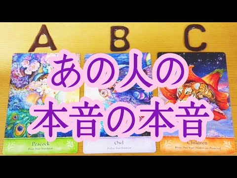 【本音の本音】必見です‼️