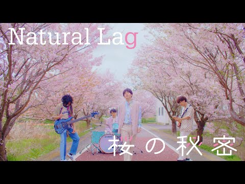 Natural Lag / 桜の秘密