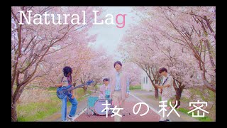 Natural Lag / 桜の秘密