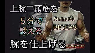 腕トレ！上腕二頭筋を５分で仕上げる[5minute Bicep Workout]