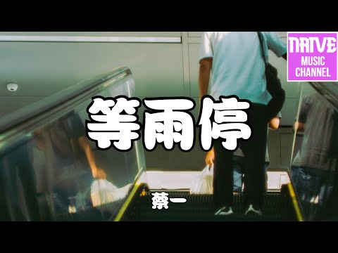 蔡一 - 等雨停【掉進一片深淵，卻再難以回天】【2021抖音歌曲】動態歌詞 | 完整版