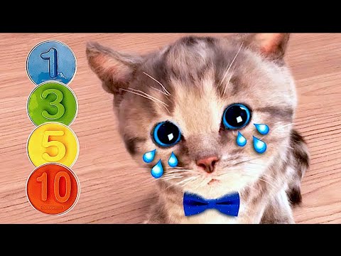 ADVENTURE OF A LITTLE KITTEN cartoon about kittens cartoon for kids and toddlers cartoons #1171