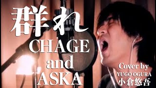 群れ / CHAGE and ASKA　Cover by 小倉悠吾