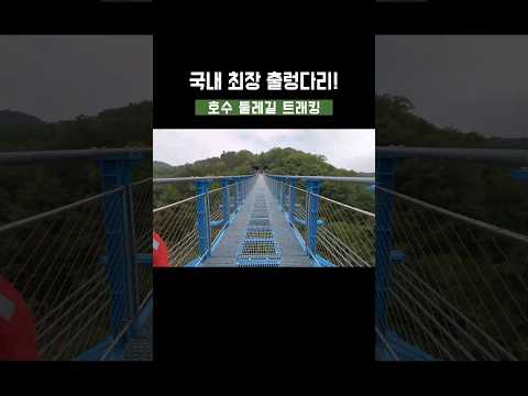 24년 새로 생긴 곳 | 국내에서 가장 긴 출렁다리 | 무료 | 호수 둘레길 트래킹 코스 #shorts #국내여행추천 #여행 #당일치기 #트레킹 #진천가볼만한곳 #진천출렁다리