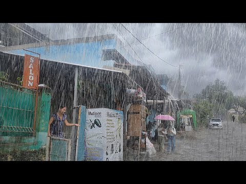 Heavy Rain in my Indonesian village, very cool and relaxing, fell asleep to the sound of heavy rain