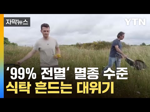 [자막뉴스] 미국 전역서 전멸 수준...인류에까지 충격파 예고 / YTN