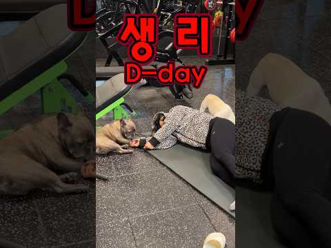 생리가 휩쓸고감 #입터짐 #다이어트 #폴타혼타스