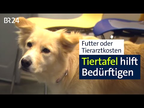 Tiertafel München: Hilfe für Menschen und ihre Haustiere | Abendschau | BR24