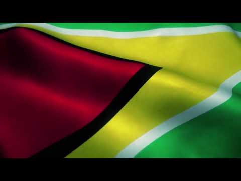 [10 Hours] Guyana Flag Waving - Video & Audio - Waving Flags