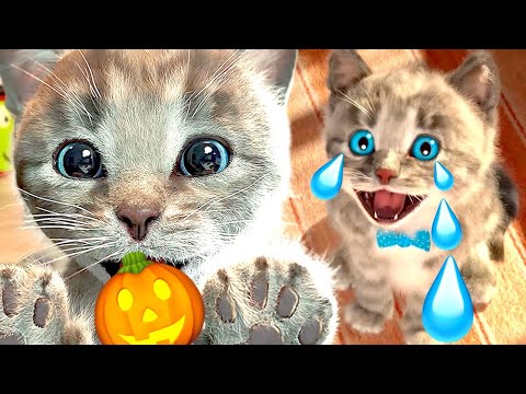 Animated Little Kitten friends Adventure - Preschool and kindergarten learning Cartoon episode #1152