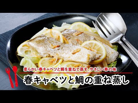 春きゃべつと鯛の重ね蒸し【マルイレシピ】