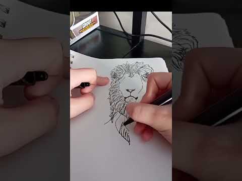 speed drawing a realistic lion