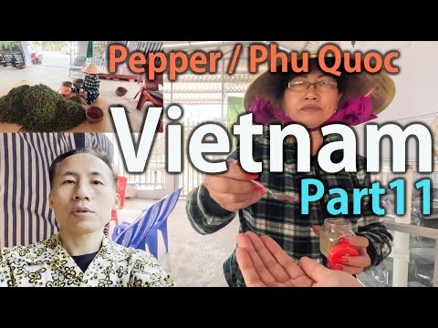 I Want to Bring Back Phu Quoc Pepper! Final Episode of the Vietnam Series [Vietnam Day 3 Part 11]