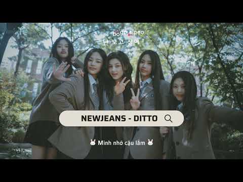 [Vietsub+kara] Ditto - NewJeans