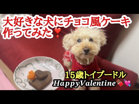 犬にバレンタインケーキ作ったらこうなった❢