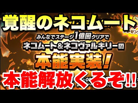 覚醒のネコムートとヴァルキリーに本能実装くるぞ！！皆で絶対解放しような！　#にゃんこ大戦争