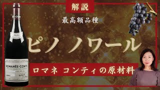 ブドウ品種②【ピノ・ノワール】ロマネ・コンティの原材料　世界の富裕層が追い求める最高額品種の秘密を解説English sub-title 【Pinot Noir】Romanee Conti