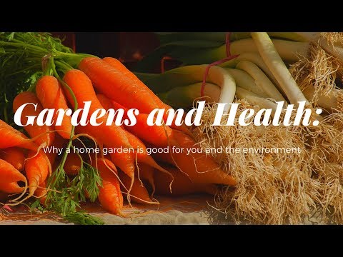 Why a home garden is good for you and the environment