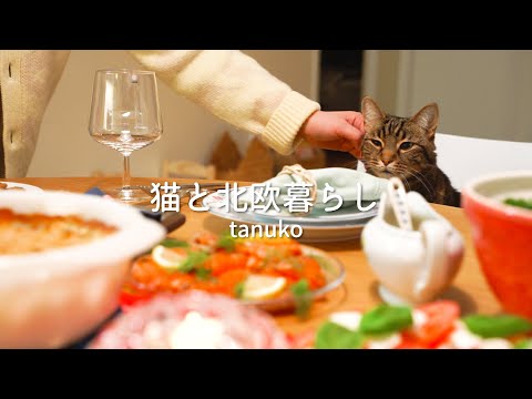 A warm Christmas with cats in Scandinavia 🎄 Okonomiyaki party in Sweden ✨