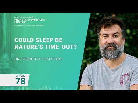 Podcast Ep. 78 - Could Sleep be Nature's Time-out? | Giorgio F. Gilestro