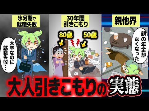 8050問題、中高年引きこもりの実態【ずんだもん解説】