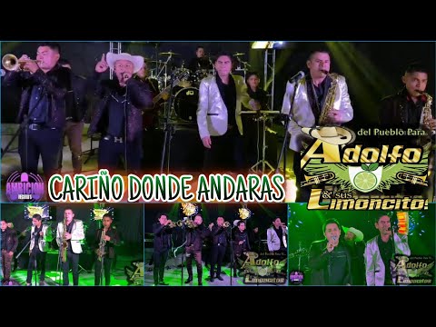 Cariño Dónde Andarás / Adolfo Y Sus Limoncitos / ¡¡¡Sesión En Vivo 2021!!!