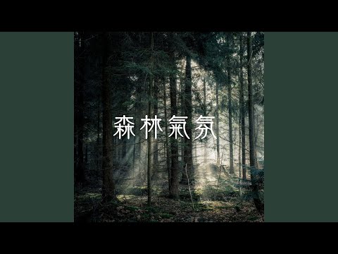 森林氣氛音樂