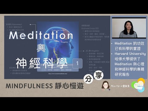 【靜心慢遊分享】Ep3. Meditation 與 神經科學