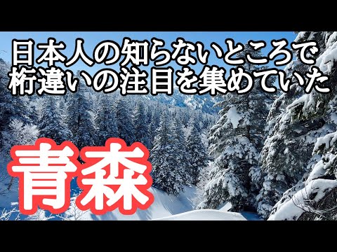 【青森観光】日本人の知らないところで桁違いの注目を集めていた青森県！　青森县，它所受到的关注比日本人所知道的要多出一个数量级