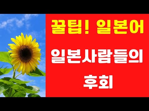 일본사람들의 후회 (꿀팁! 일본어 표현)